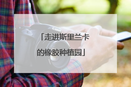 走进斯里兰卡的橡胶种植园