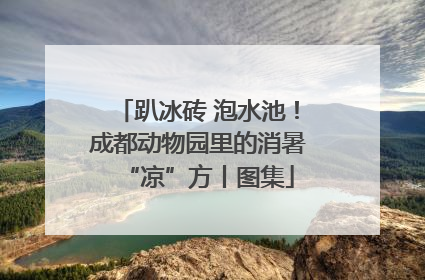 趴冰砖 泡水池！成都动物园里的消暑“凉”方丨图集