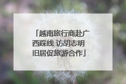 越南旅行商赴广西踩线 访胡志明旧居促旅游合作