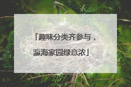 趣味分类齐参与，瀛海家园绿意浓