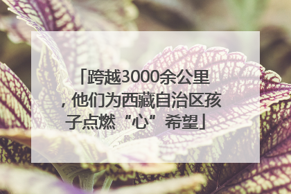 跨越3000余公里，他们为西藏自治区孩子点燃“心”希望