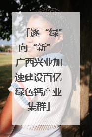 逐“绿”向“新” 广西兴业加速建设百亿绿色钙产业集群