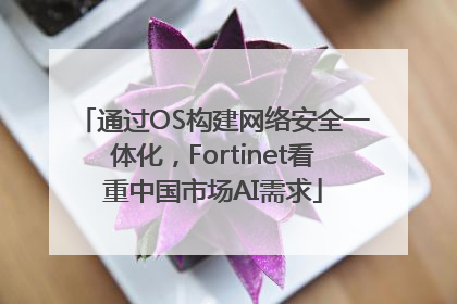 通过OS构建网络安全一体化，Fortinet看重中国市场AI需求