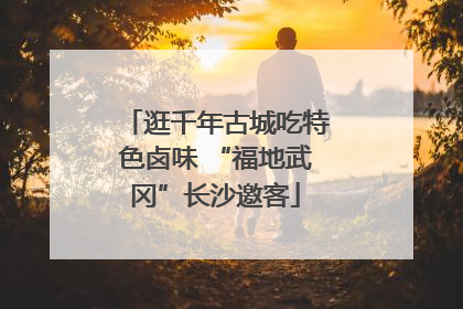 逛千年古城吃特色卤味 “福地武冈”长沙邀客