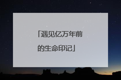 遇见亿万年前的生命印记