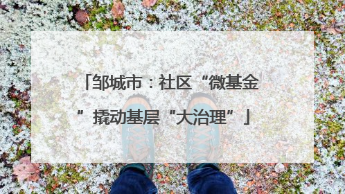 邹城市：社区“微基金”撬动基层“大治理”