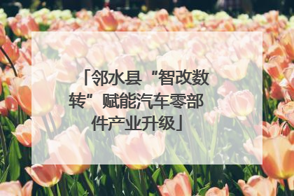 邻水县“智改数转”赋能汽车零部件产业升级