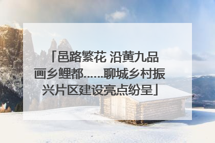 邑路繁花 沿黄九品 画乡鲤都……聊城乡村振兴片区建设亮点纷呈