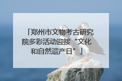郑州市文物考古研究院多彩活动迎接“文化和自然遗产日”