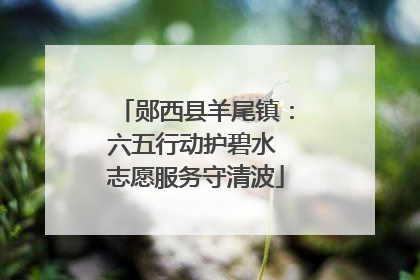 郧西县羊尾镇：六五行动护碧水 志愿服务守清波
