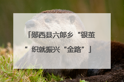 郧西县六郎乡“银茧”织就振兴“金路”
