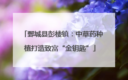 鄄城县彭楼镇：中草药种植打造致富“金钥匙”