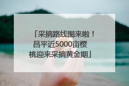采摘路线图来啦！昌平近5000亩樱桃迎来采摘黄金期