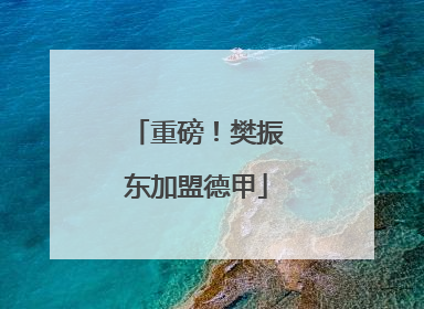 重磅！樊振东加盟德甲