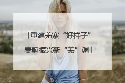 重建羌寨“好样子” 奏响振兴新“羌”调