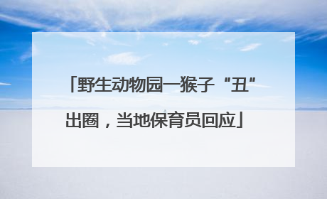 野生动物园一猴子“丑”出圈，当地保育员回应