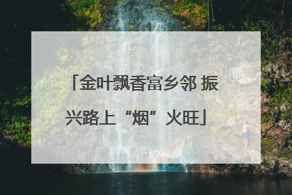 金叶飘香富乡邻 振兴路上“烟”火旺