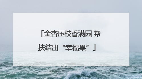 金杏压枝香满园 帮扶结出“幸福果”