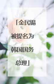 金民锡被提名为韩国国务总理