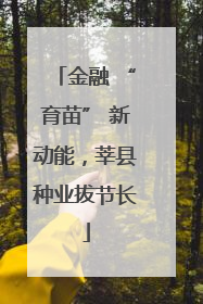 金融 “育苗” 新动能，莘县种业拔节长