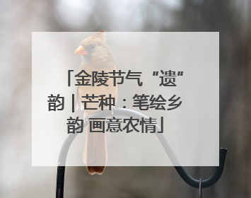 金陵节气“遗”韵｜芒种：笔绘乡韵 画意农情