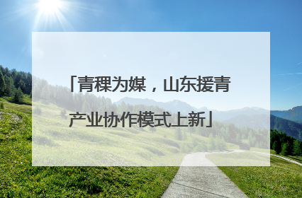 青稞为媒，山东援青产业协作模式上新