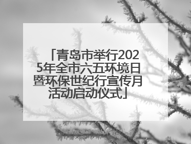 青岛市举行2025年全市六五环境日暨环保世纪行宣传月活动启动仪式