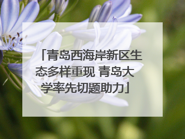 青岛西海岸新区生态多样重现 青岛大学率先切题助力