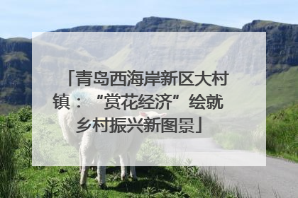 青岛西海岸新区大村镇：“赏花经济”绘就乡村振兴新图景