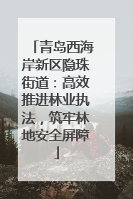青岛西海岸新区隐珠街道：高效推进林业执法，筑牢林地安全屏障