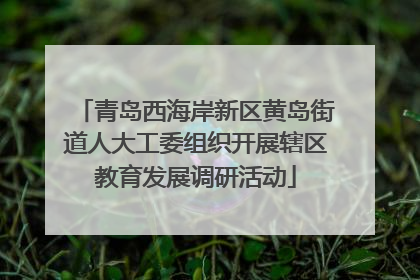 青岛西海岸新区黄岛街道人大工委组织开展辖区教育发展调研活动