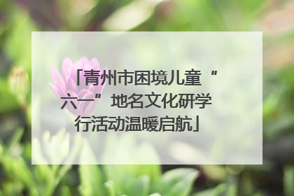 青州市困境儿童“六一”地名文化研学行活动温暖启航