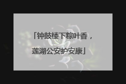 钟鼓楼下粽叶香，莲湖公安护安康