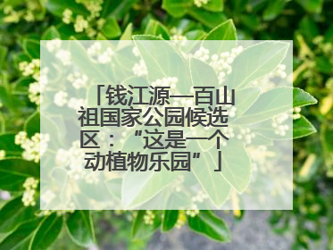 钱江源—百山祖国家公园候选区：“这是一个动植物乐园”