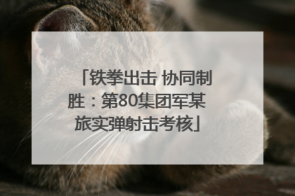 铁拳出击 协同制胜：第80集团军某旅实弹射击考核