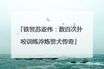 铁警苏亚伟：数百次扑咬训练淬炼警犬传奇