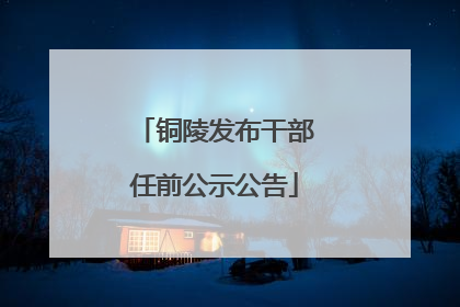 铜陵发布干部任前公示公告