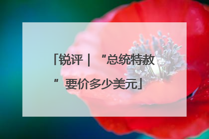 锐评｜“总统特赦”要价多少美元