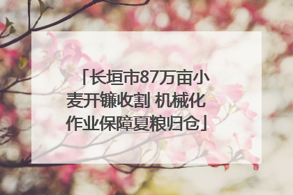 长垣市87万亩小麦开镰收割 机械化作业保障夏粮归仓