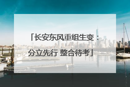 长安东风重组生变：分立先行 整合待考