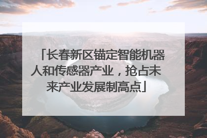 长春新区锚定智能机器人和传感器产业，抢占未来产业发展制高点