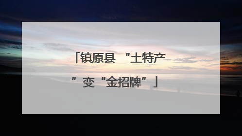 镇原县 “土特产”变“金招牌”
