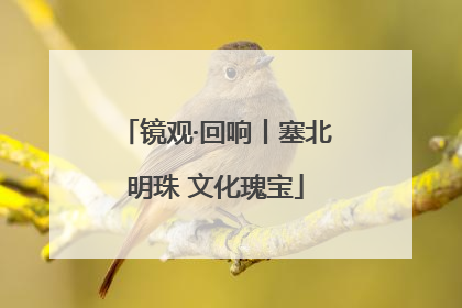镜观·回响丨塞北明珠 文化瑰宝