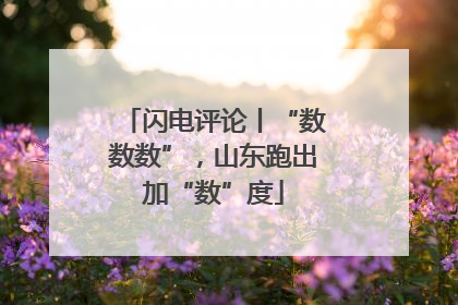闪电评论丨“数数数”，山东跑出加“数”度