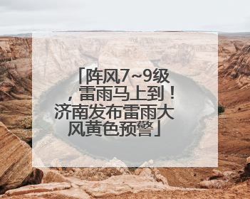阵风7~9级，雷雨马上到！济南发布雷雨大风黄色预警