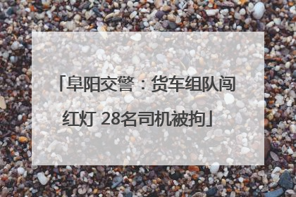阜阳交警：货车组队闯红灯 28名司机被拘