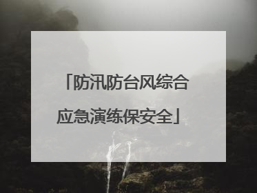 防汛防台风综合应急演练保安全