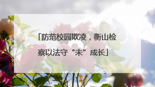 防范校园欺凌，衡山检察以法守“未”成长