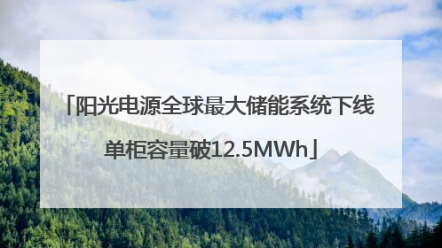 阳光电源全球最大储能系统下线 单柜容量破12.5MWh