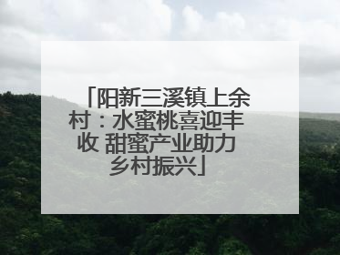 阳新三溪镇上余村：水蜜桃喜迎丰收 甜蜜产业助力乡村振兴